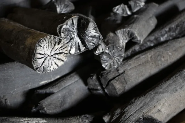 白炭（備長炭）の断面