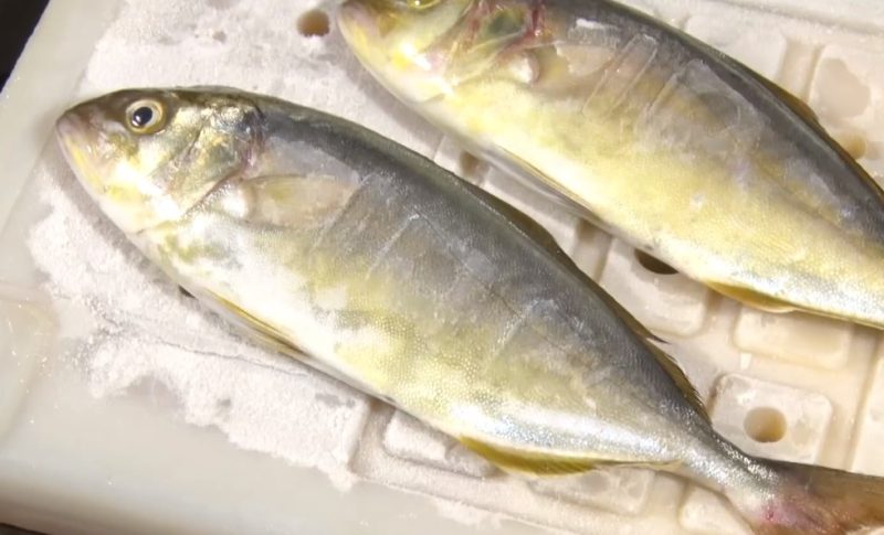 ロゴス 倍速凍結・氷点下パックで魚を凍らせた様子。強力な保冷力を実証する写真。